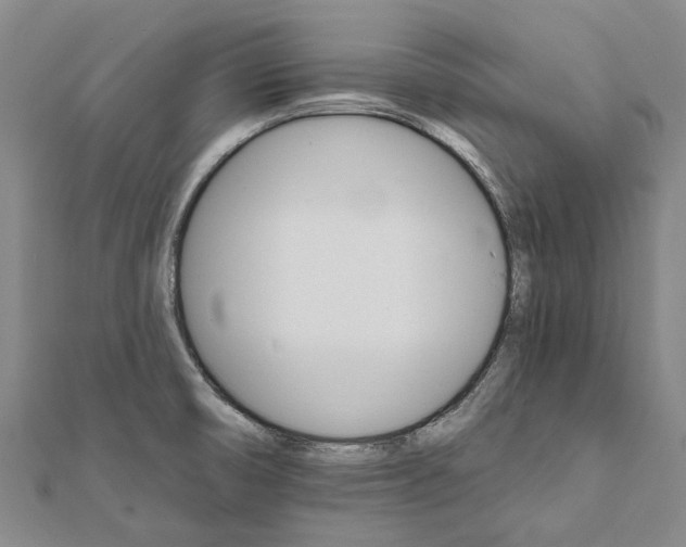 X0000111801474200908201142