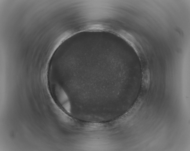 X0000111801475200908201142
