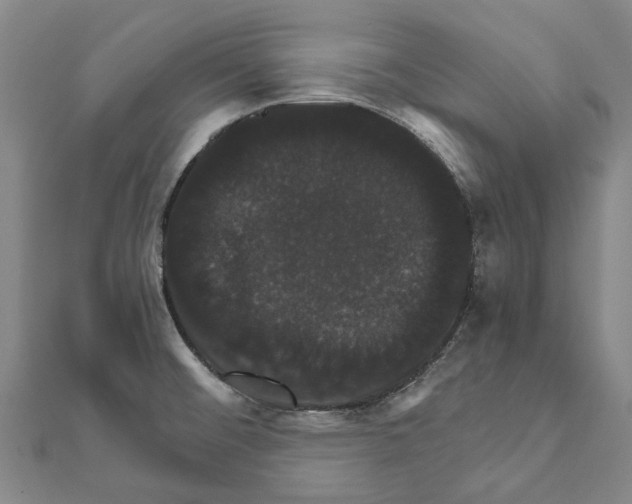 X0000111801476200908201142