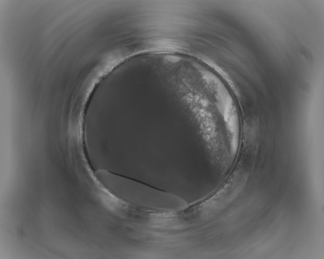 X0000111801477200908201142