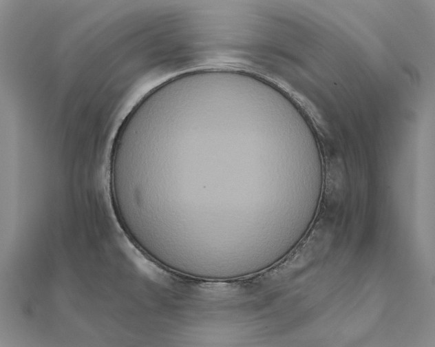 X0000111801478200908201142