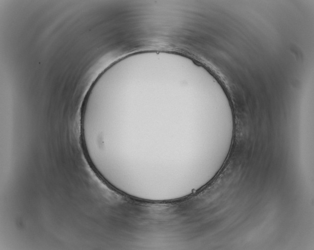 X0000111801479200908201142