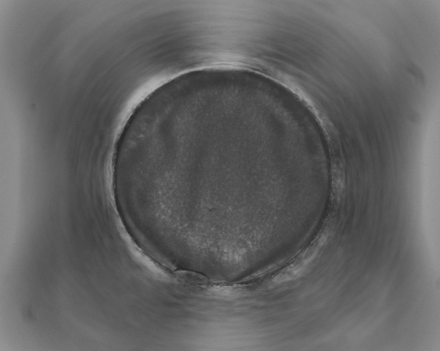 X0000111801480200908201142