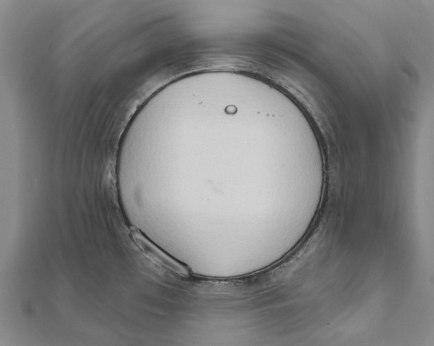X0000111801481200908201142
