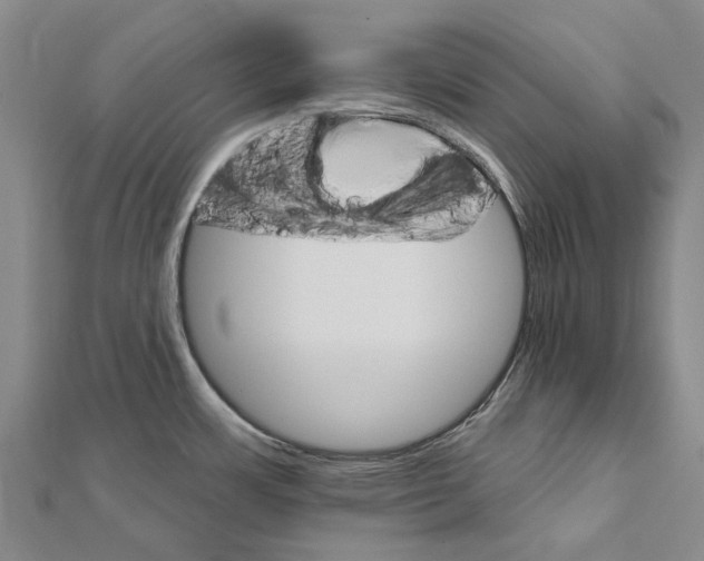 X0000111801483200908201142