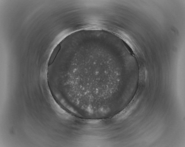 X0000111801484200908201142