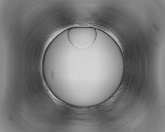 X0000111801485200908201142