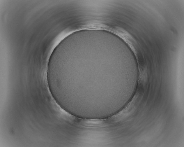 X0000111801486200908201142