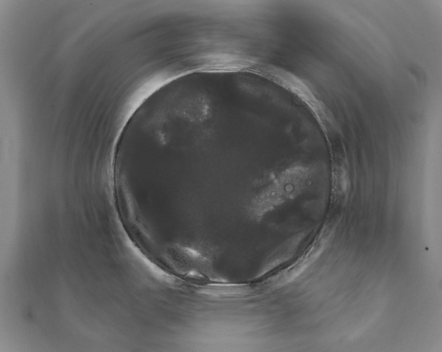 X0000111801487200908201142