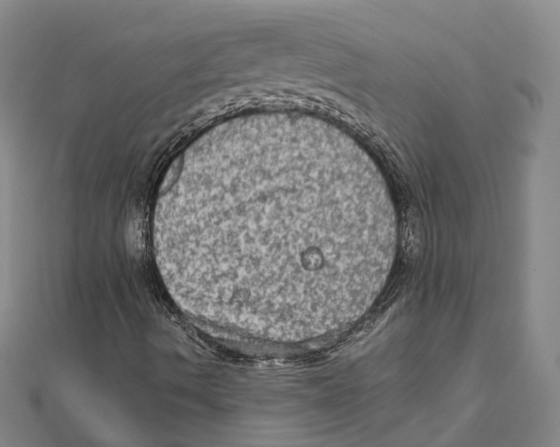 X0000111801490200908201141