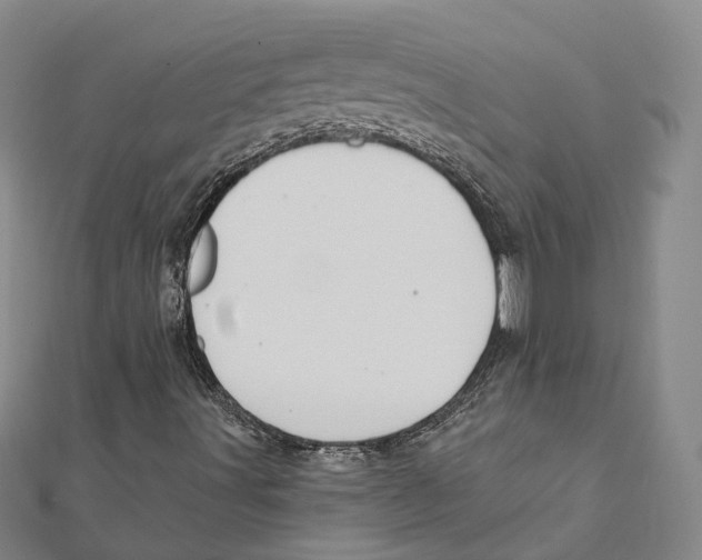 X0000111801491200908201141