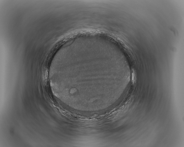X0000111801492200908201141