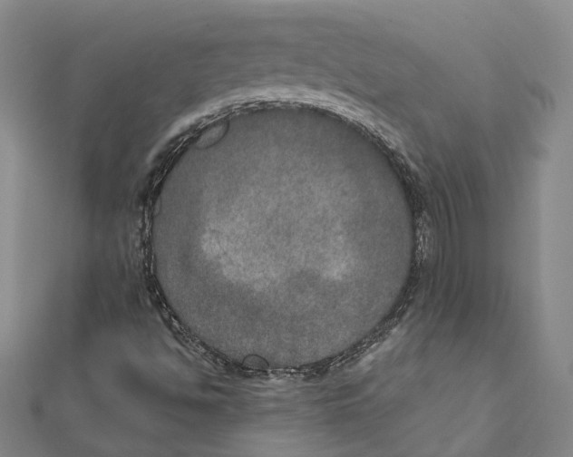X0000111801494200908201141
