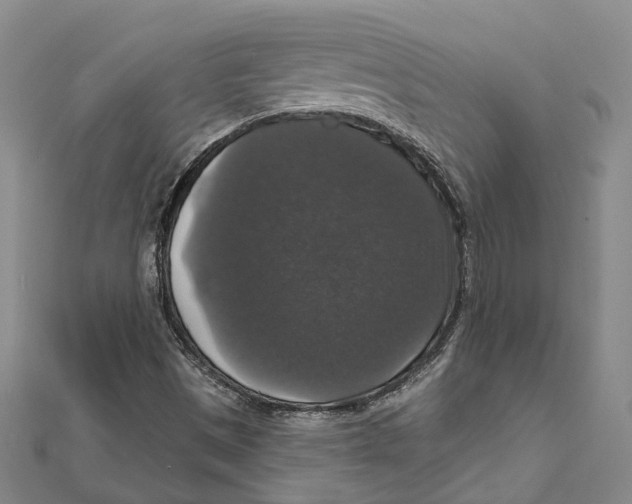 X0000111801497200908201141