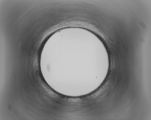 X0000111801498200908201141