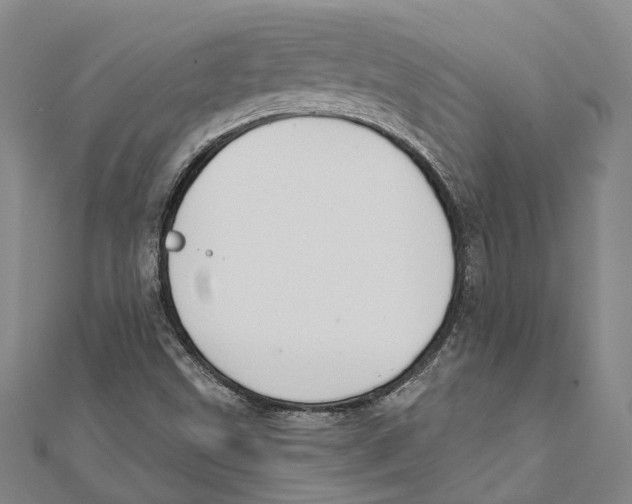 X0000111801499200908201141