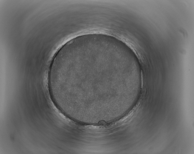 X0000111801500200908201141