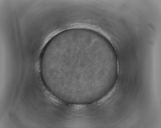 X0000111801501200908201141