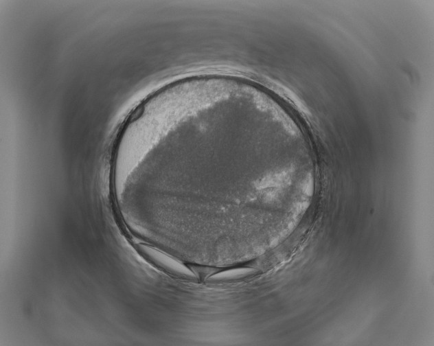 X0000111801504200908201142
