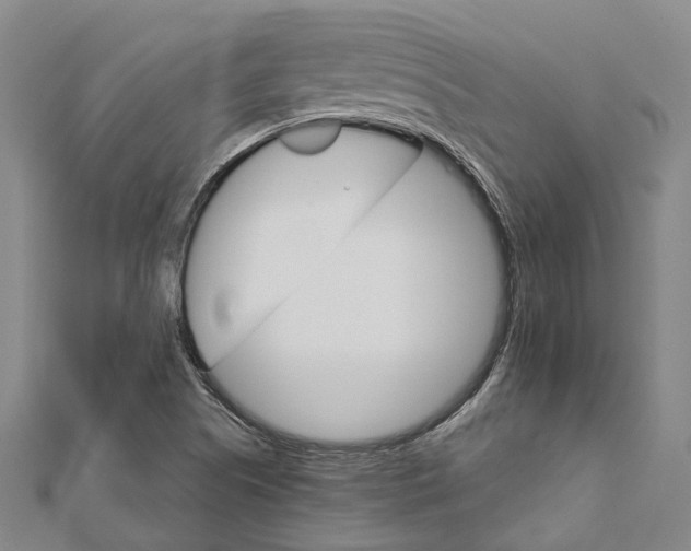 X0000111801505200908201142