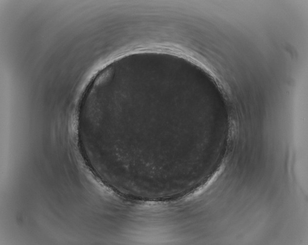 X0000111801506200908201142