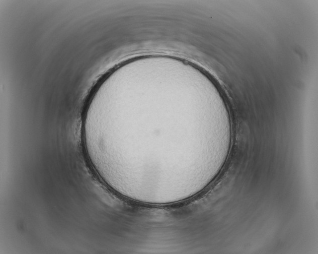 X0000111801507200908201142