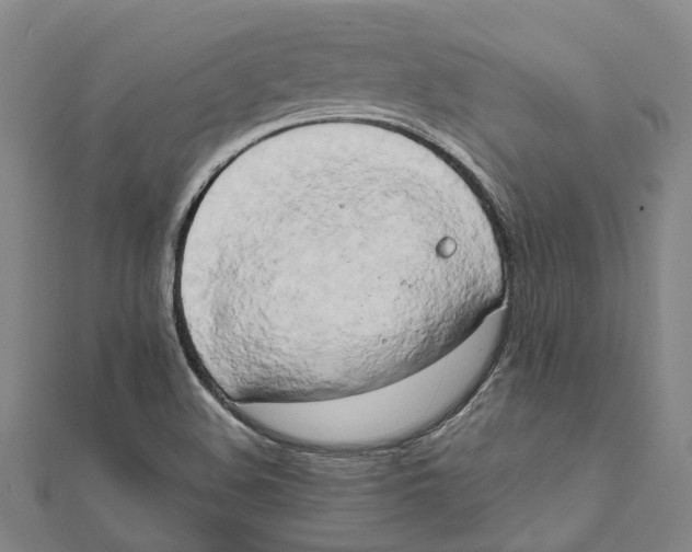 X0000111801508200908201142