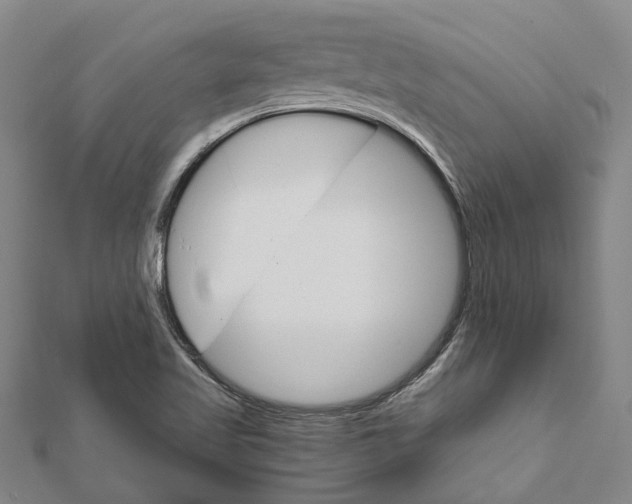 X0000111801509200908201142