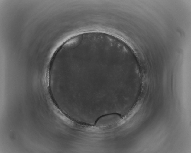 X0000111801510200908201142