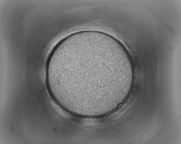 X0000111801511200908201142