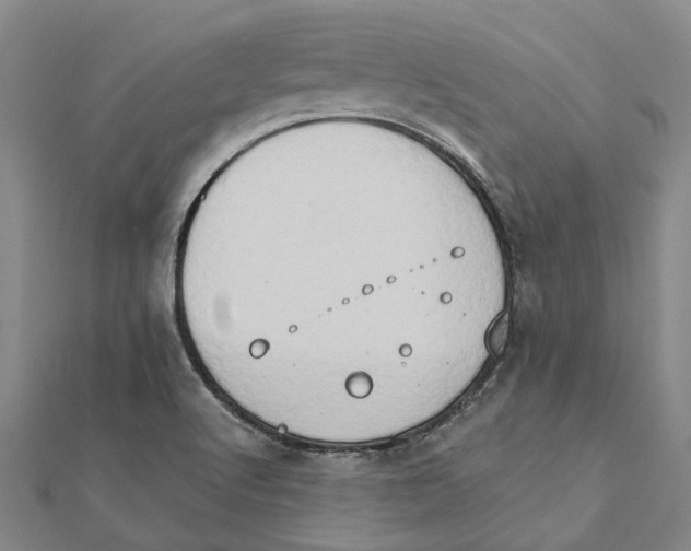 X0000111801512200908201142