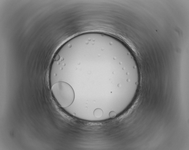 X0000111801513200908201142