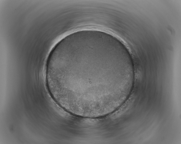 X0000111801514200908201142