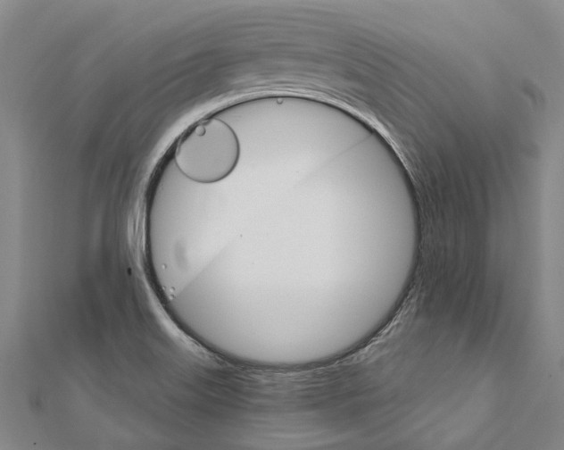 X0000111801515200908201142