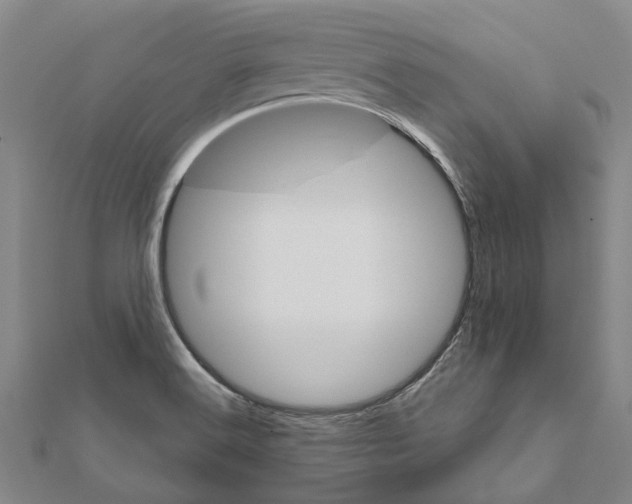 X0000111801516200908201142