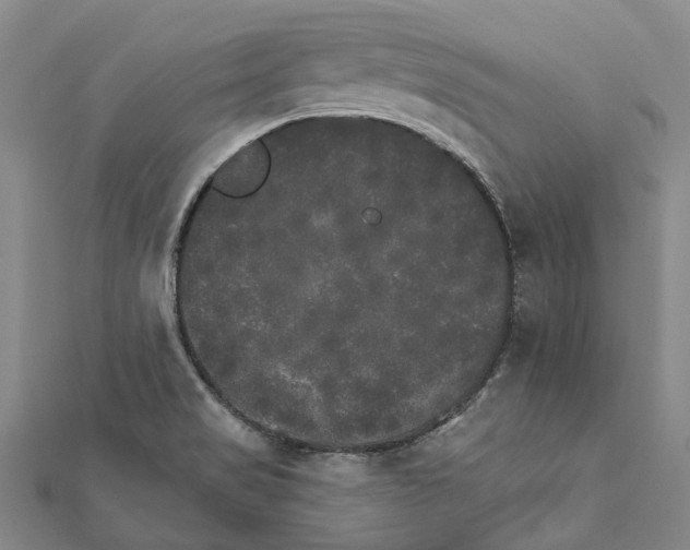 X0000111801517200908201142