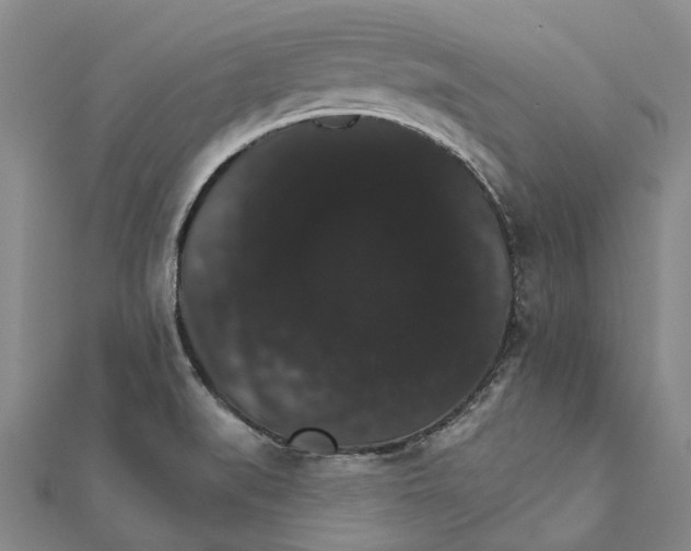 X0000111801519200908201142