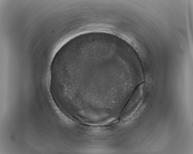 X0000111801520200908201142