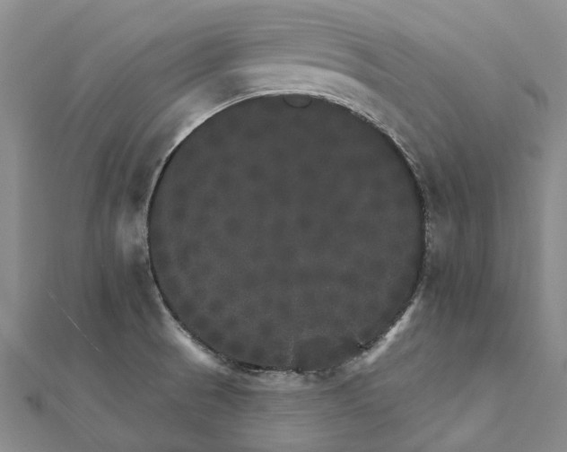 X0000111801521200908201142