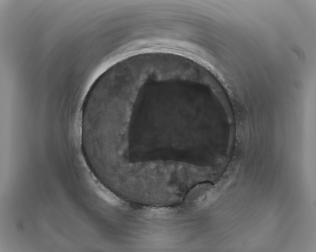 X0000111801522200908201142