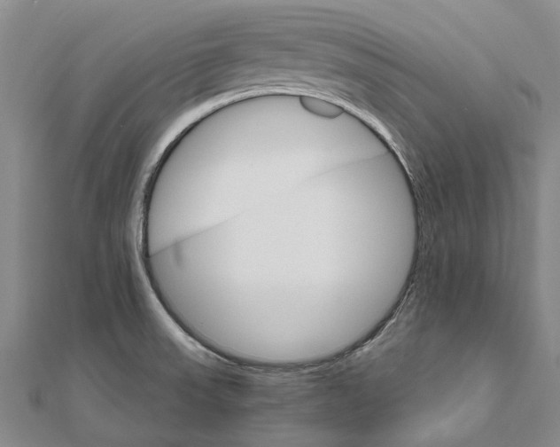 X0000111801523200908201142