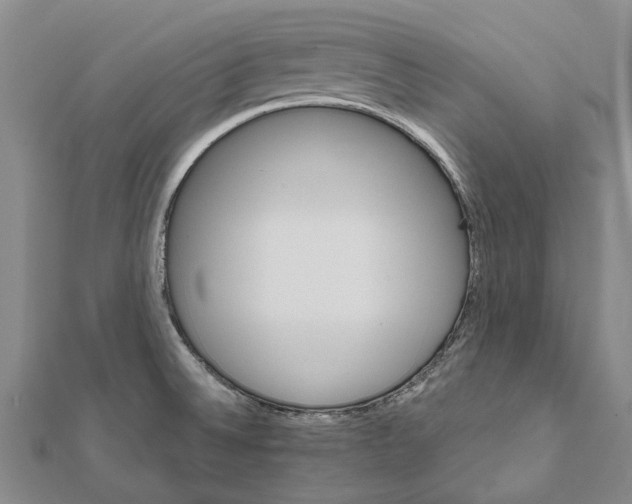 X0000111801524200908201142