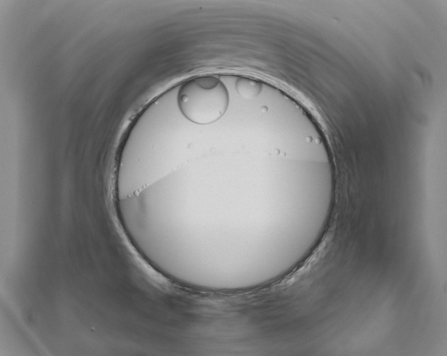 X0000111801525200908201142