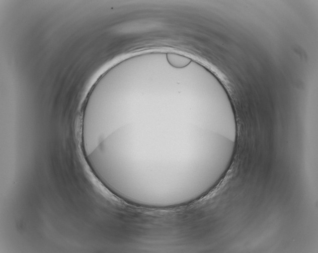 X0000111801526200908201142