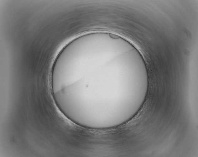 X0000111801527200908201142