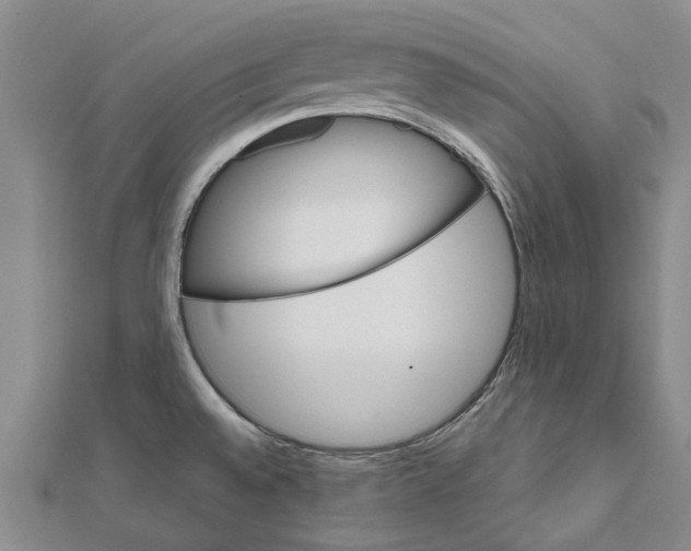 X0000111801528200908201142
