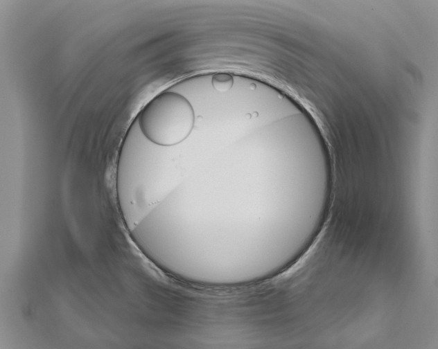 X0000111801529200908201142