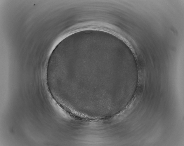 X0000111801530200908201142