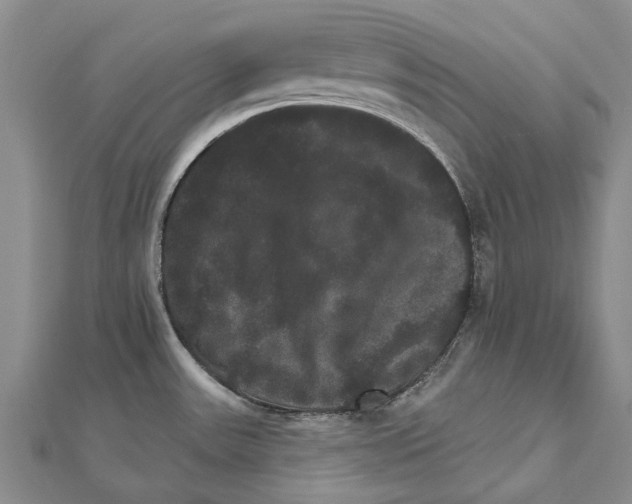 X0000111801531200908201142
