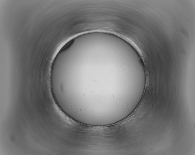 X0000111801532200908201142